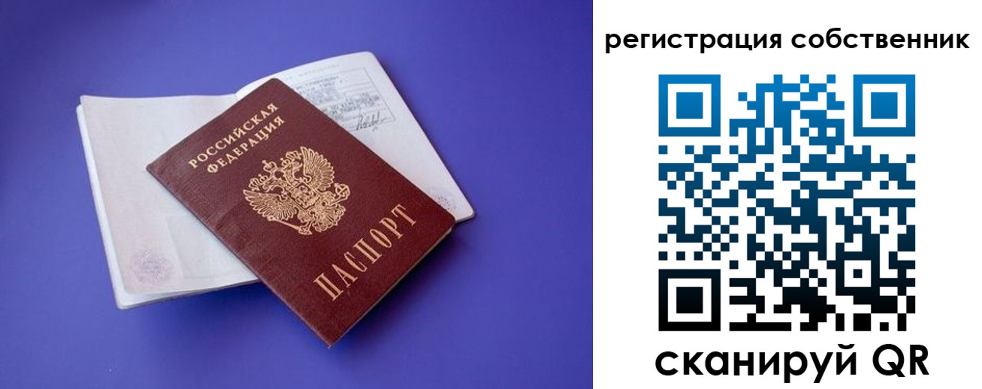 прописка штамп в Лосино-Петровском